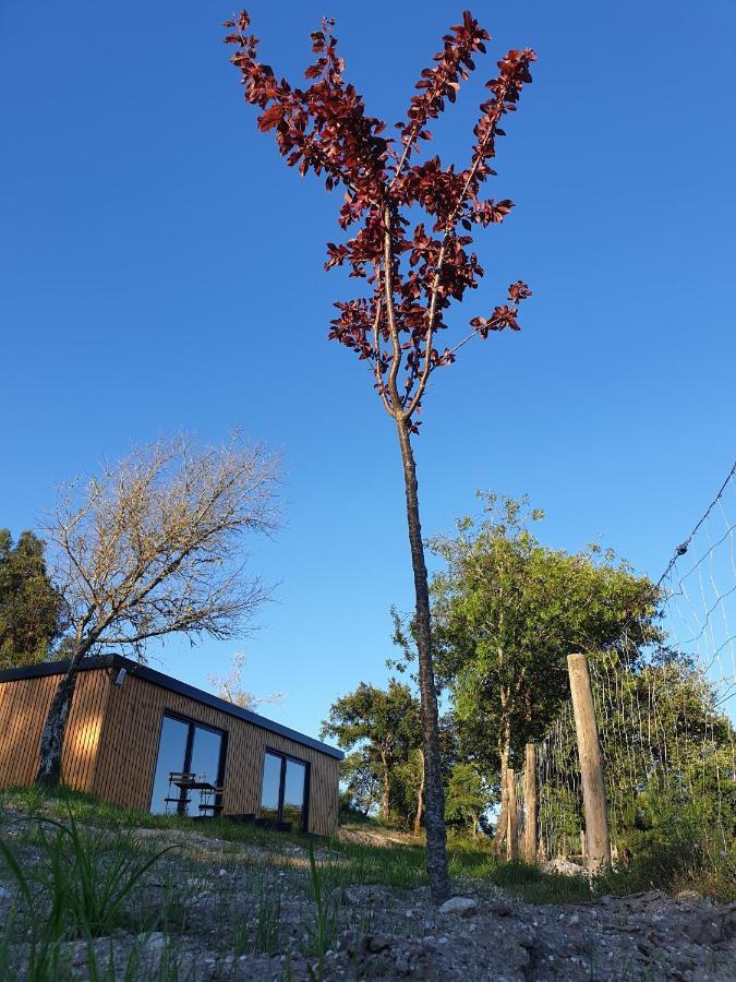Casa D' Alem Turismo E Natureza - Refugio Do Valouto Torneiro Екстериор снимка